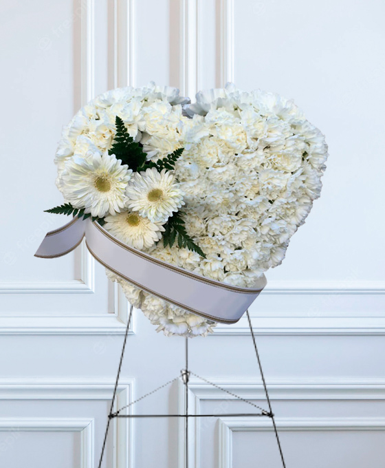 Gerberas blancas para tanatorio