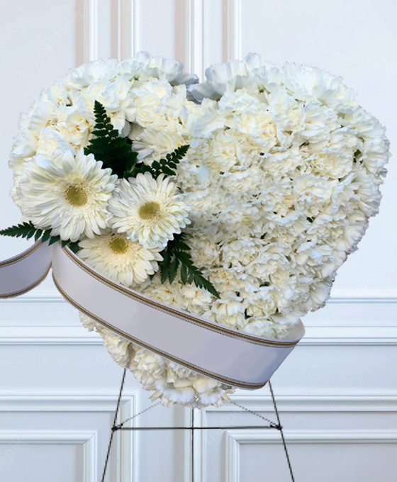 Gerberas blancas para tanatorio