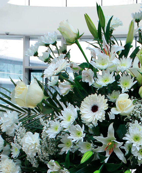 Enviar Coronas Funerarias blancas al tanatorio de Alcobendos
