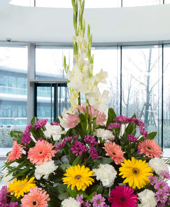 Enviar Centro Funerario Clavel y Gerberas