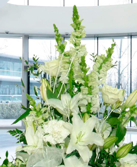 Centro Funerario Especial Blanco