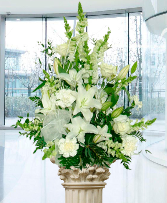 Centro Funerario Especial Blanco