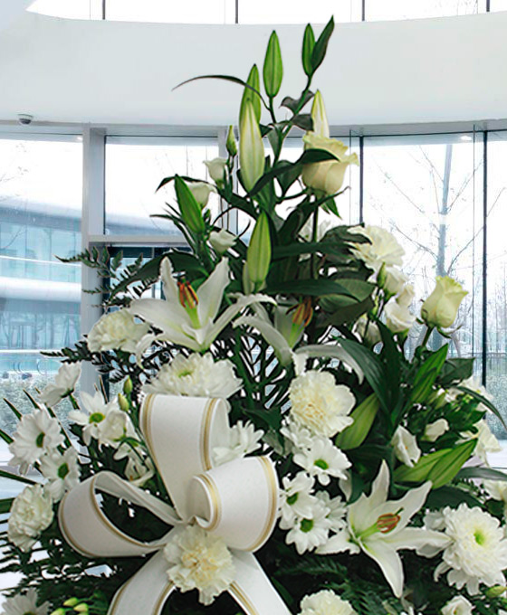 Enviar Centro Funerario Especial Blanco