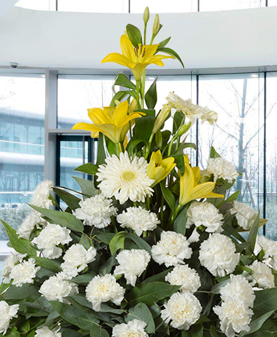 Centro Funerario Condolencia Blanco